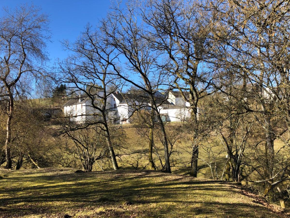 Apartment Künstlerhaus Rehblick Rockeskyll