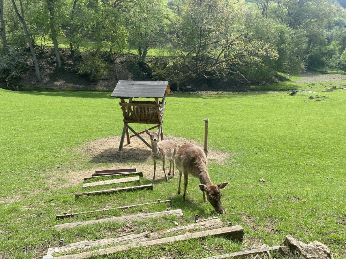 Rehblick Appartamento
