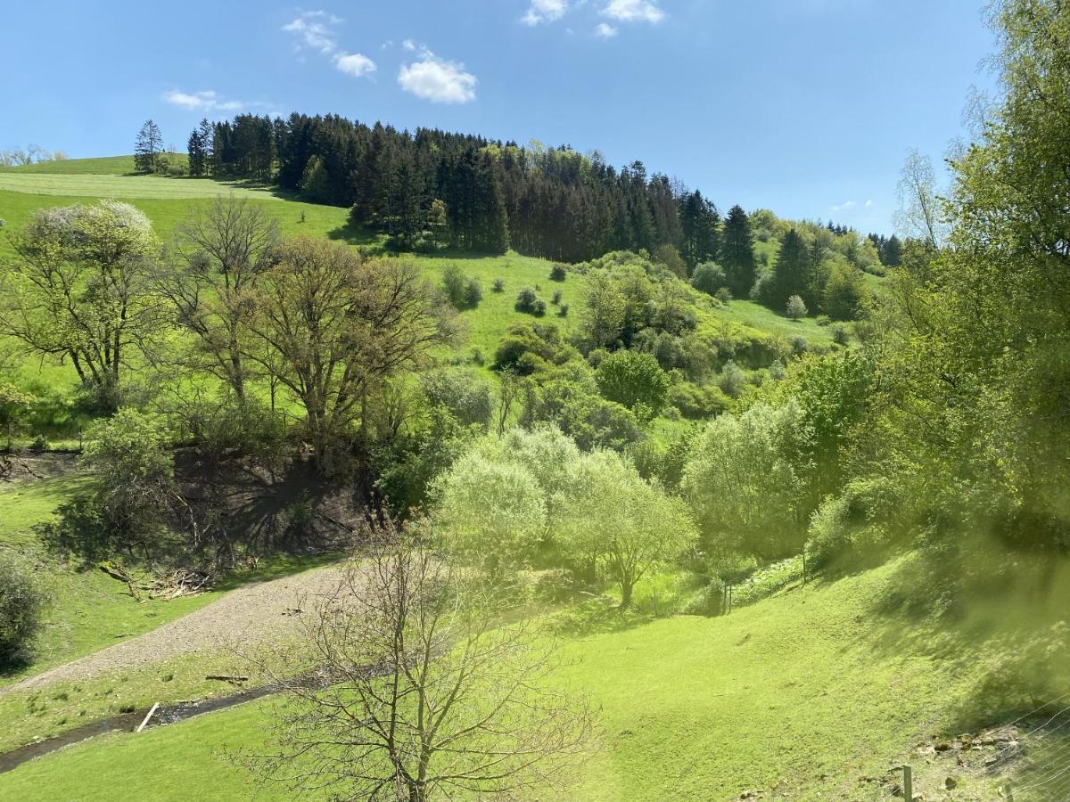 Rehblick *