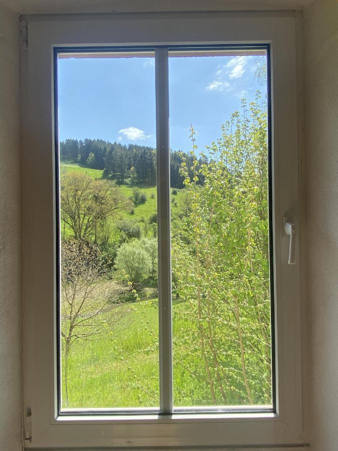 Apartment Künstlerhaus Rehblick Rockeskyll